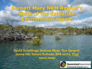 Burnett Mary NRM Region’s State of the Estuarine Environment report