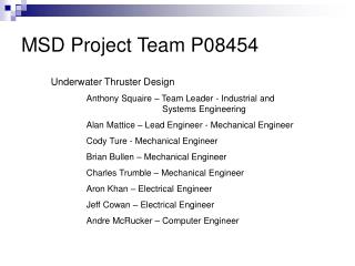 MSD Project Team P08454
