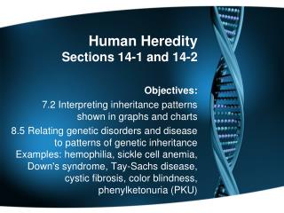Human Heredity Sections 14-1 and 14-2