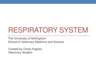 R espiratory System