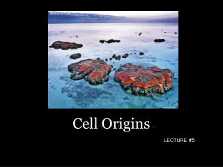 Cell Origins