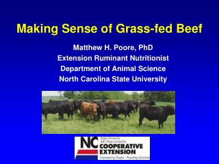 Making Sense of Grass-fed Beef