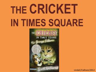 THE CRICKET IN TIMES SQUARE