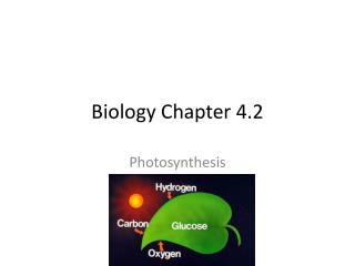 Biology Chapter 4.2