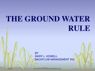 THE GROUND WATER RULE