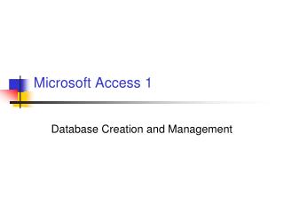 Microsoft Access 1