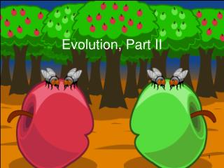 Evolution, Part II