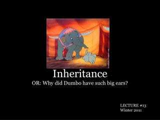 Inheritance OR: Why did Dumbo have such big ears?