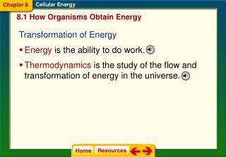 Transformation of Energy