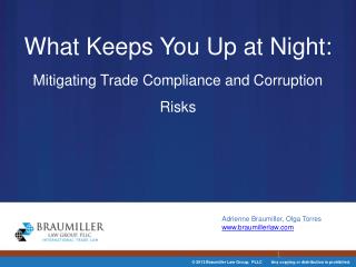 What Keeps You Up at Night: Mitigating Trade Compliance and Corruption Risks