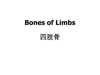 Bones of Limbs 四肢骨