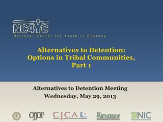 Alternatives to Detention: Options in Tribal Communities, Part 1