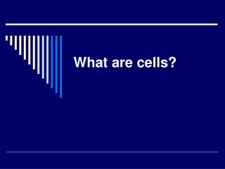 What are cells?
