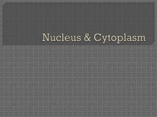 Nucleus &amp; Cytoplasm