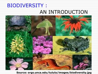 BIODIVERSITY : AN INTRODUCTION