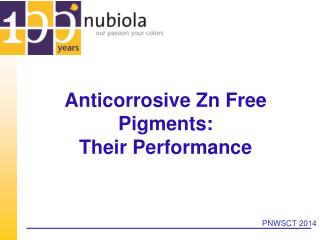 Anticorrosive Zn Free Pigments: Their Performance