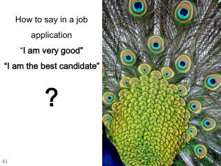 How to say in a job application “ I am very good” “I am the best candidate” ?