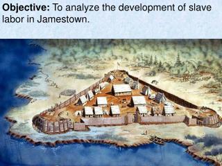 Objective: To analyze the development of slave labor in Jamestown.