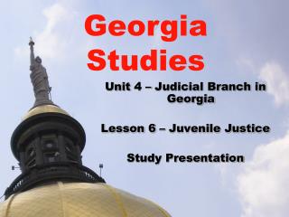 Unit 4 – Judicial Branch in Georgia Lesson 6 – Juvenile Justice Study Presentation