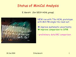 Status of MiniCal Analysis