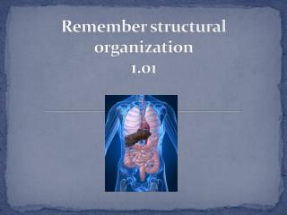 Remember structural organization 1.01