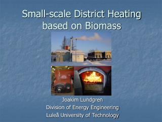 Small-scale District Heating based on Biomass