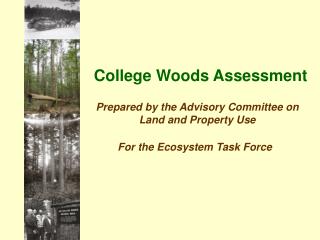 College Woods Assessment
