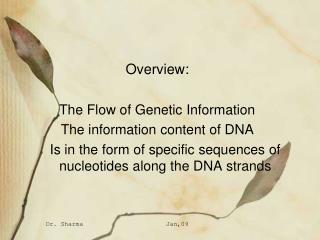 Overview: The Flow of Genetic Information The information content of DNA