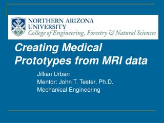 Creating Medical Prototypes from MRI data