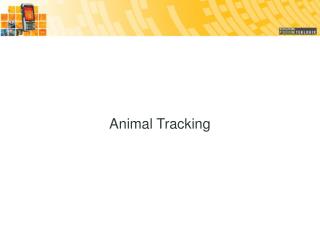 Animal Tracking