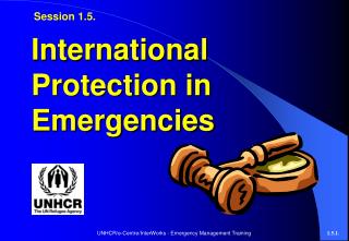 International Protection in Emergencies