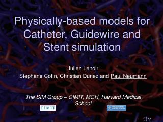 Physically-based models for Catheter, Guidewire and Stent simulation