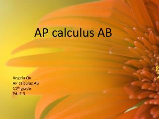 AP calculus AB