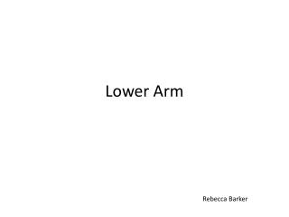 Lower Arm