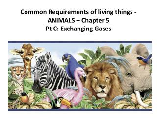 Common Requirements of living things - ANIMALS – Chapter 5 Pt C: Exchanging Gases