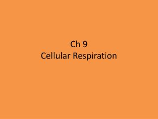 Ch 9 Cellular Respiration