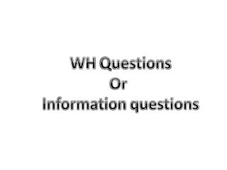 WH Questions Or Information questions
