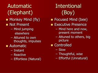 Automatic Intentional (Elephant) (Boy)