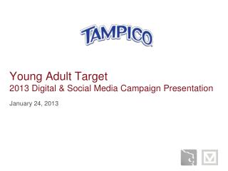 Young Adult Target 2013 Digital &amp; Social Media Campaign Presentation