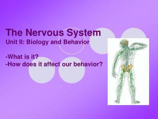 The Nervous System Unit II: Biology and Behavior -What is it? -How does it affect our behavior?