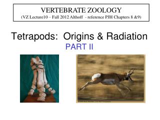 Tetrapods: Origins &amp; Radiation PART II