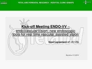 Kick-off Meeting ENDO-VV –