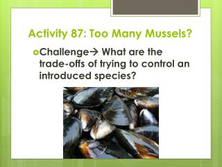 Activity 87: Too Many Mussels?