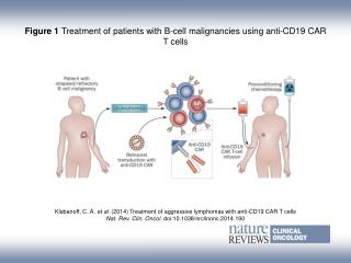 Figure 1 Treatment of patients with B‑cell malignancies using anti-CD19 CAR T cells