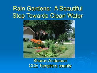Rain Gardens: A Beautiful Step Towards Clean Water
