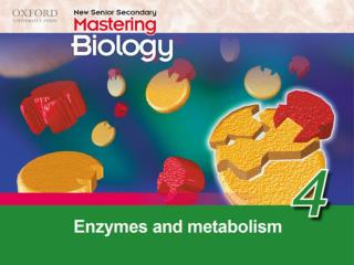 Think about… 4.1 Metabolism 4.2 Properties and actions of enzymes