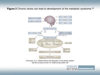 Figure 2 Chronic stress can lead to development of the metabolic syndrome. 35