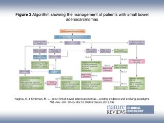Figure 3 Algorithm showing the management of patients with small bowel adenocarcinomas