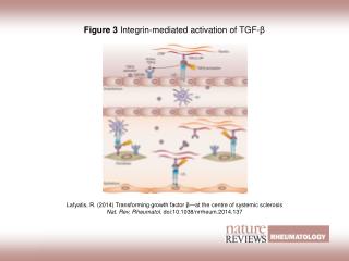 Figure 3 Integrin-mediated activation of TGF‑ β