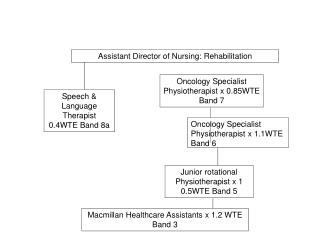 Assistant Director of Nursing: Rehabilitation